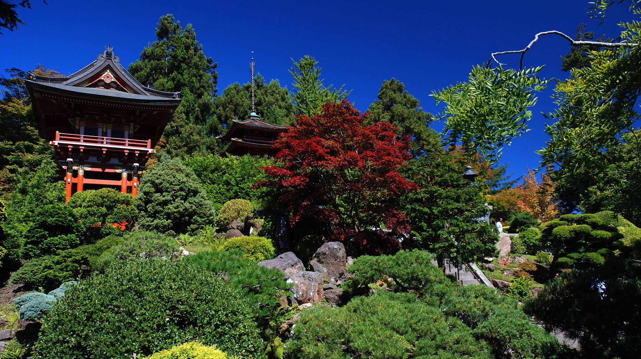 Gardens of Golden Gate Park Enhances Visitor Experiences with Help from Xantrion