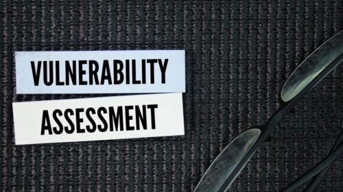 Vulnerability Testing graphic