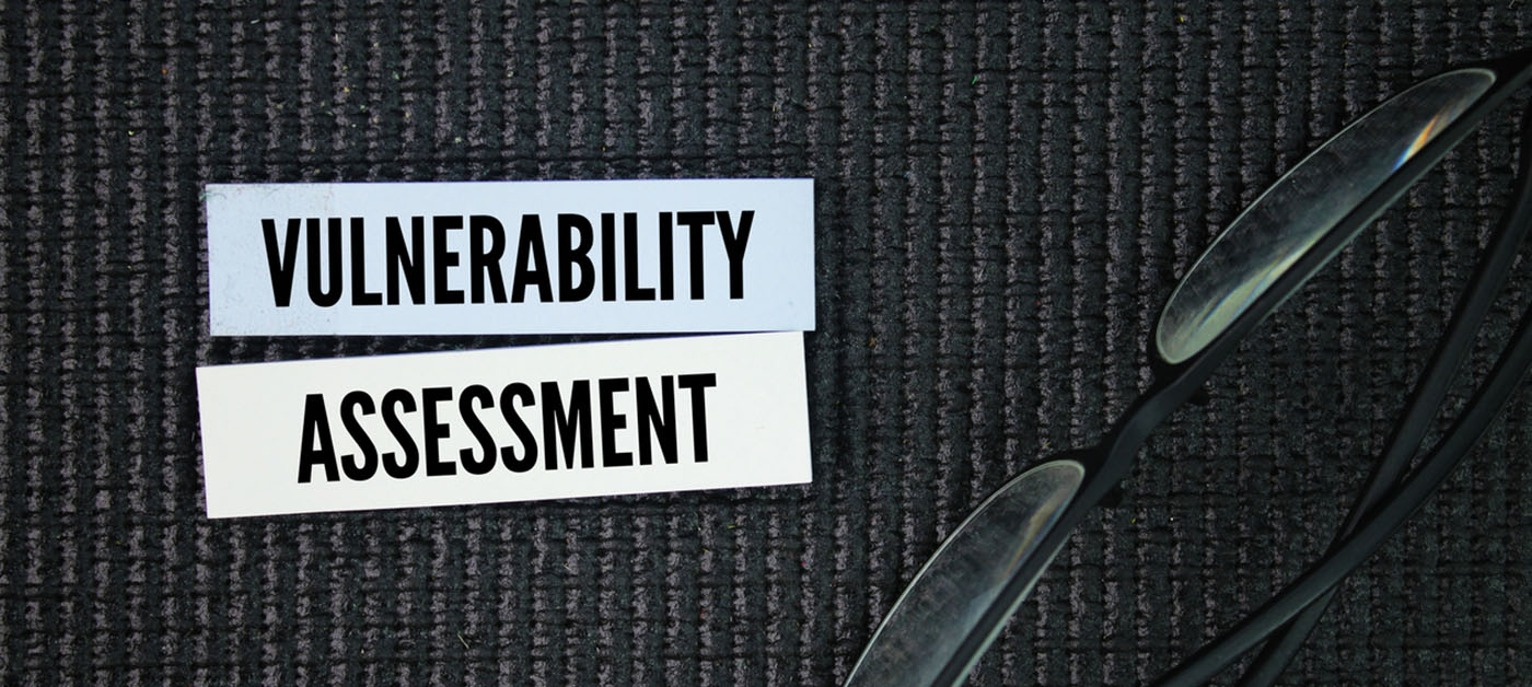 Vulnerability Testing graphic